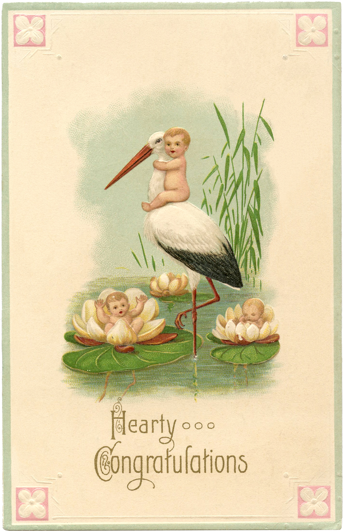 Detail Stork Graphics Nomer 11