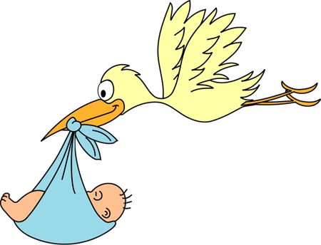 Detail Stork Graphics Nomer 15