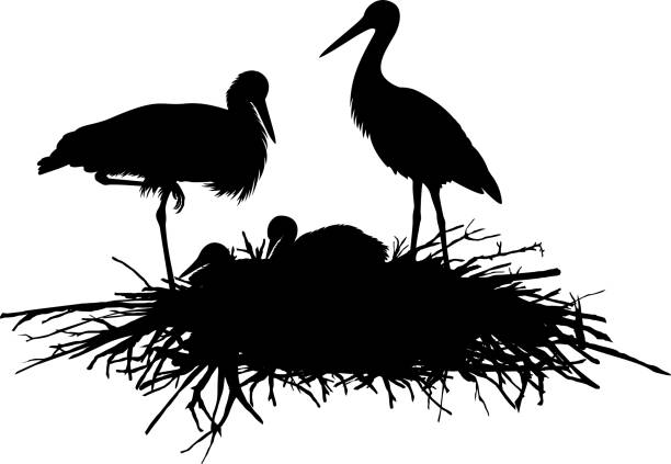 Detail Stork Graphics Nomer 17