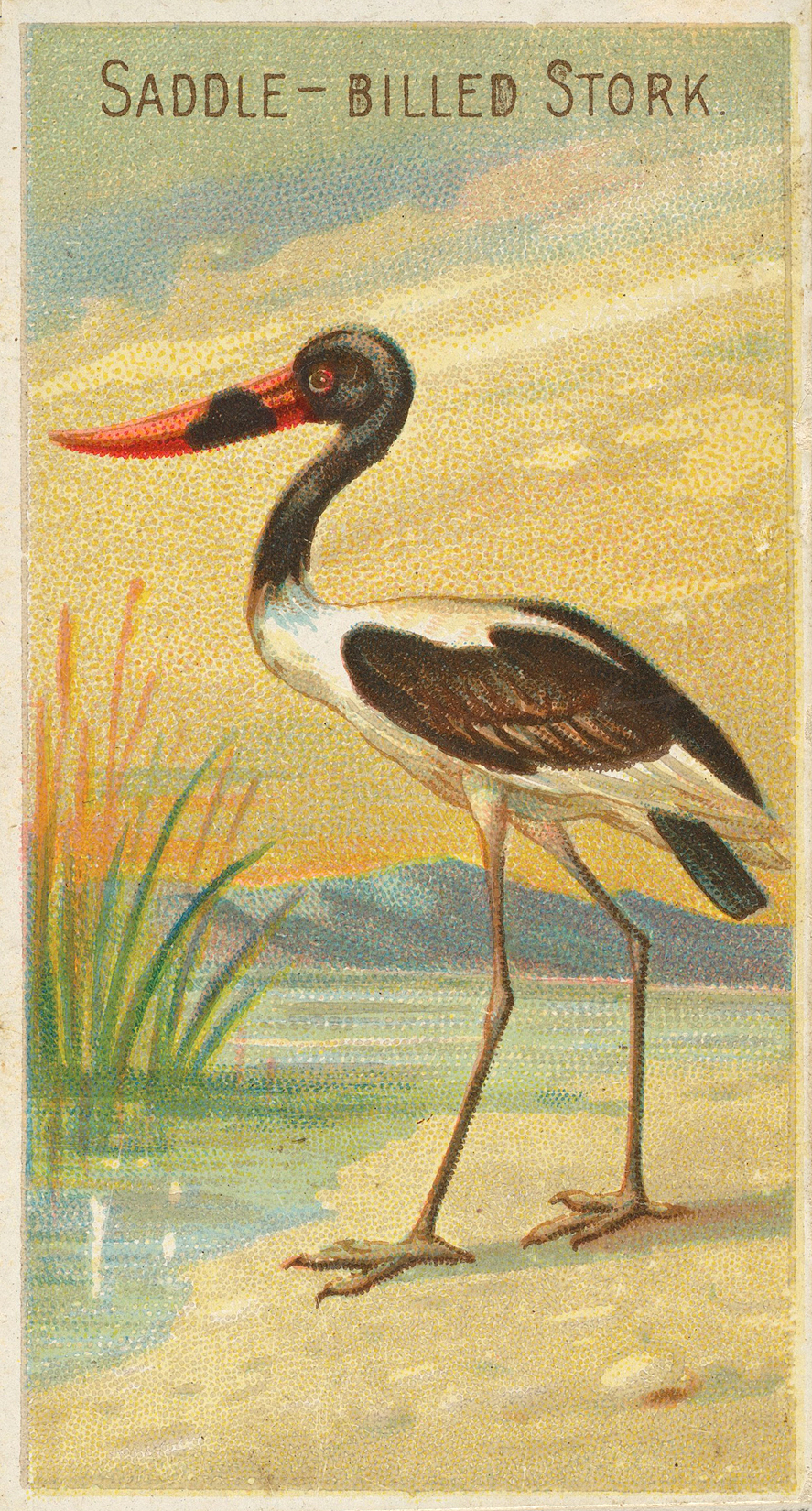 Detail Stork Graphics Nomer 19