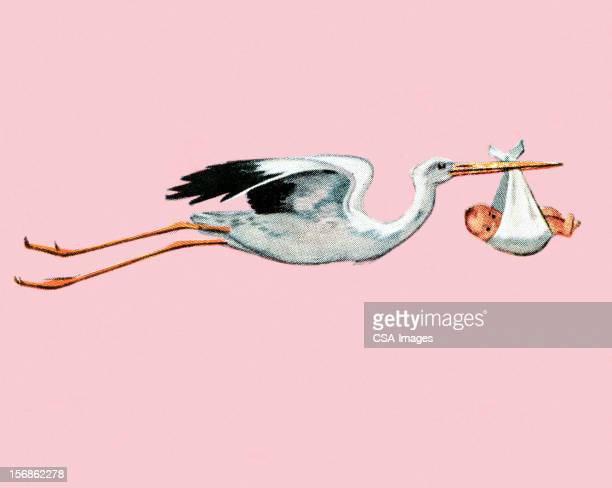 Detail Stork Graphics Nomer 21