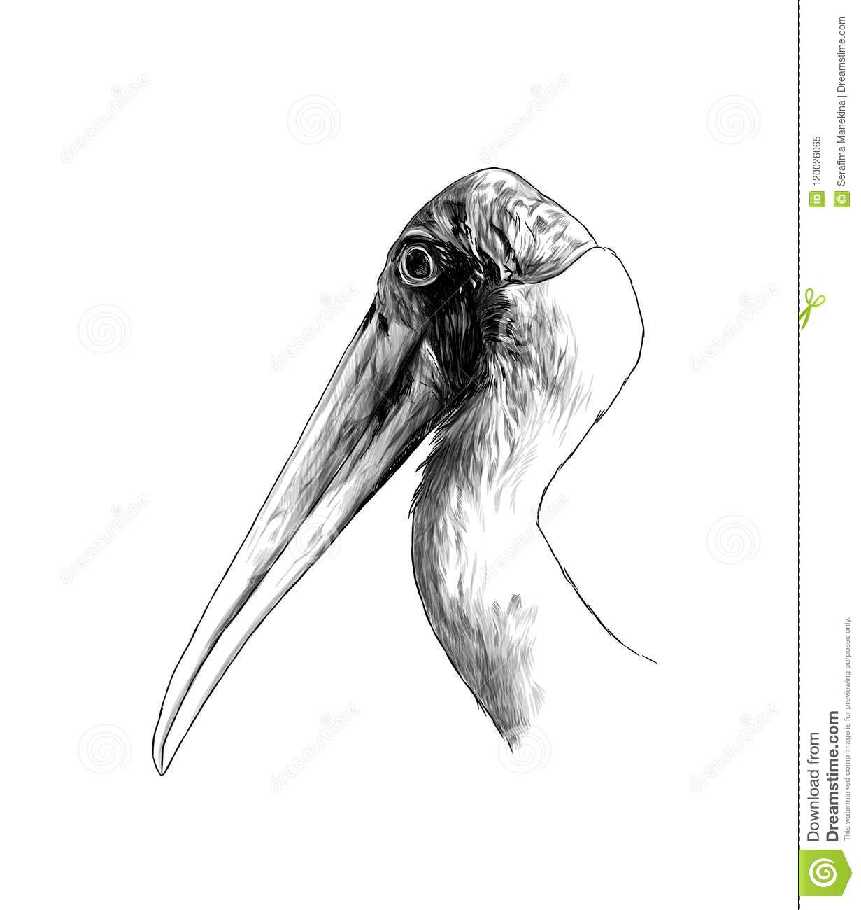 Detail Stork Graphics Nomer 28
