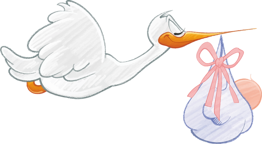Detail Stork Graphics Nomer 7