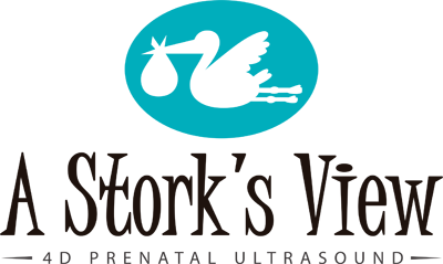 Detail Stork Imaging Nomer 40