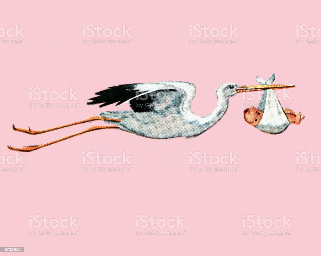 Detail Stork Pics Nomer 28