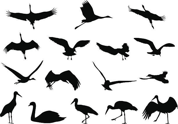 Detail Stork Silhouette Clip Art Nomer 31