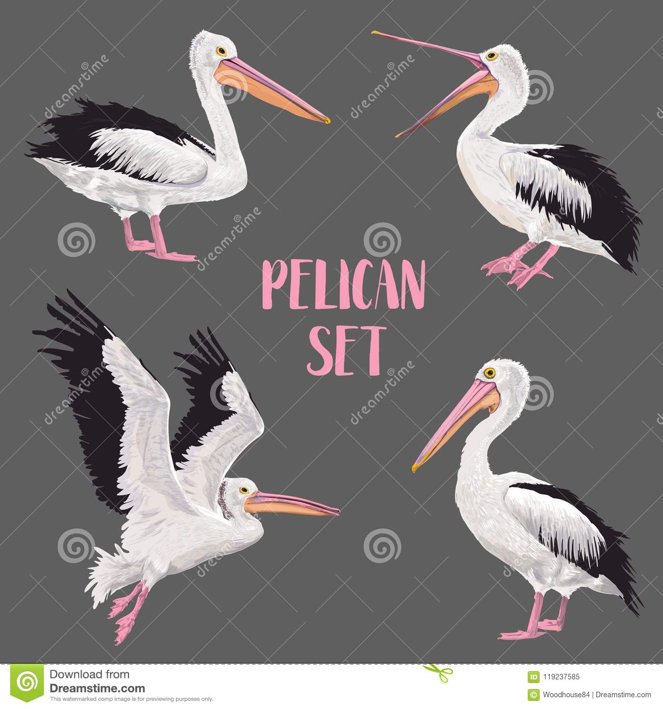 Detail Stork Vs Pelican Vs Crane Nomer 33