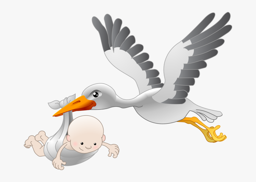 Detail Stork With Baby Clipart Nomer 19
