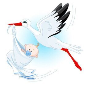 Detail Stork With Baby Clipart Nomer 30