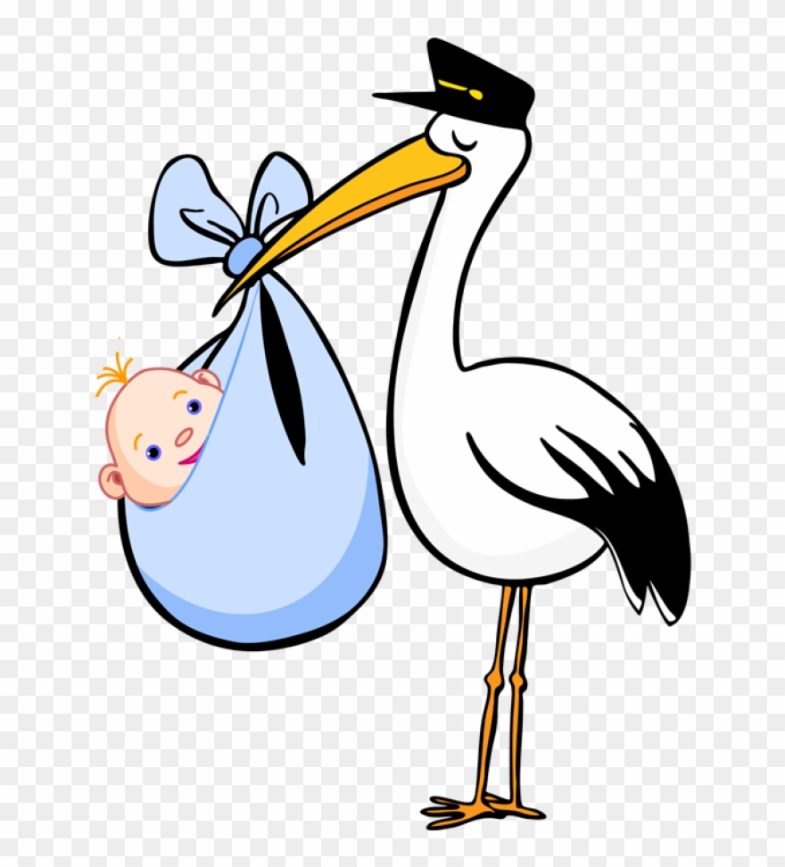 Detail Stork With Baby Clipart Nomer 4