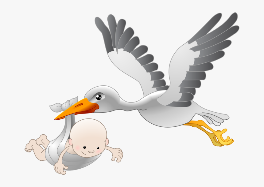 Detail Storks Free Nomer 30