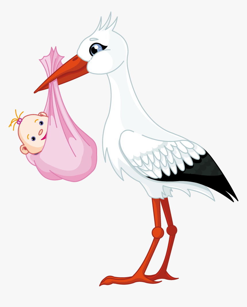 Detail Storks Free Nomer 34
