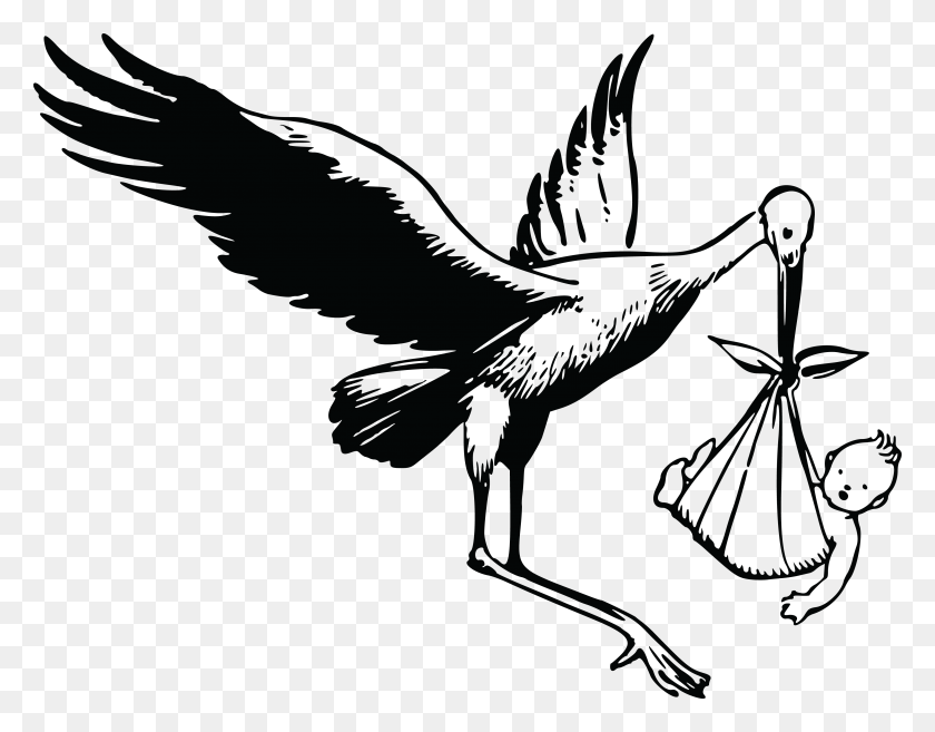 Detail Storks Free Nomer 37