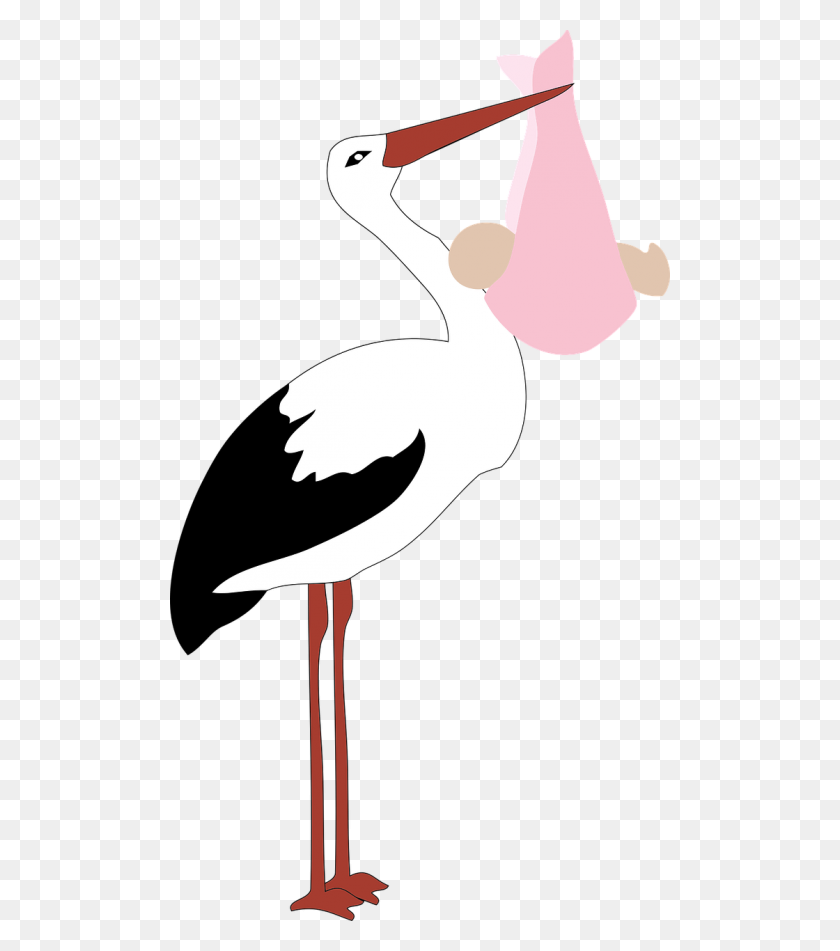 Detail Storks Free Nomer 48