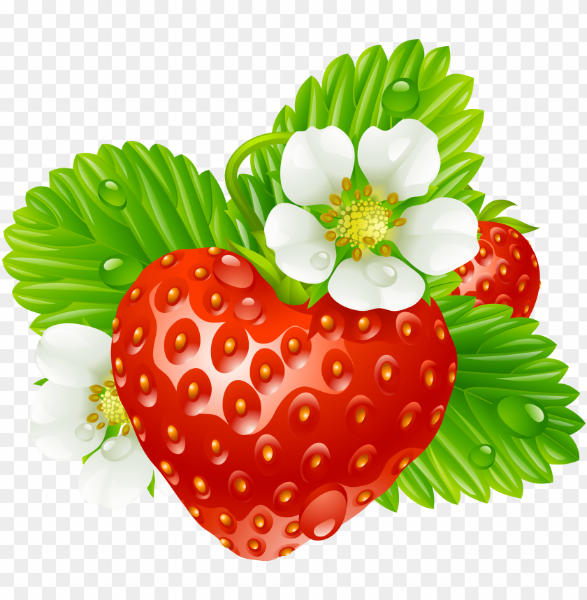 Detail Straberry Pics Nomer 29
