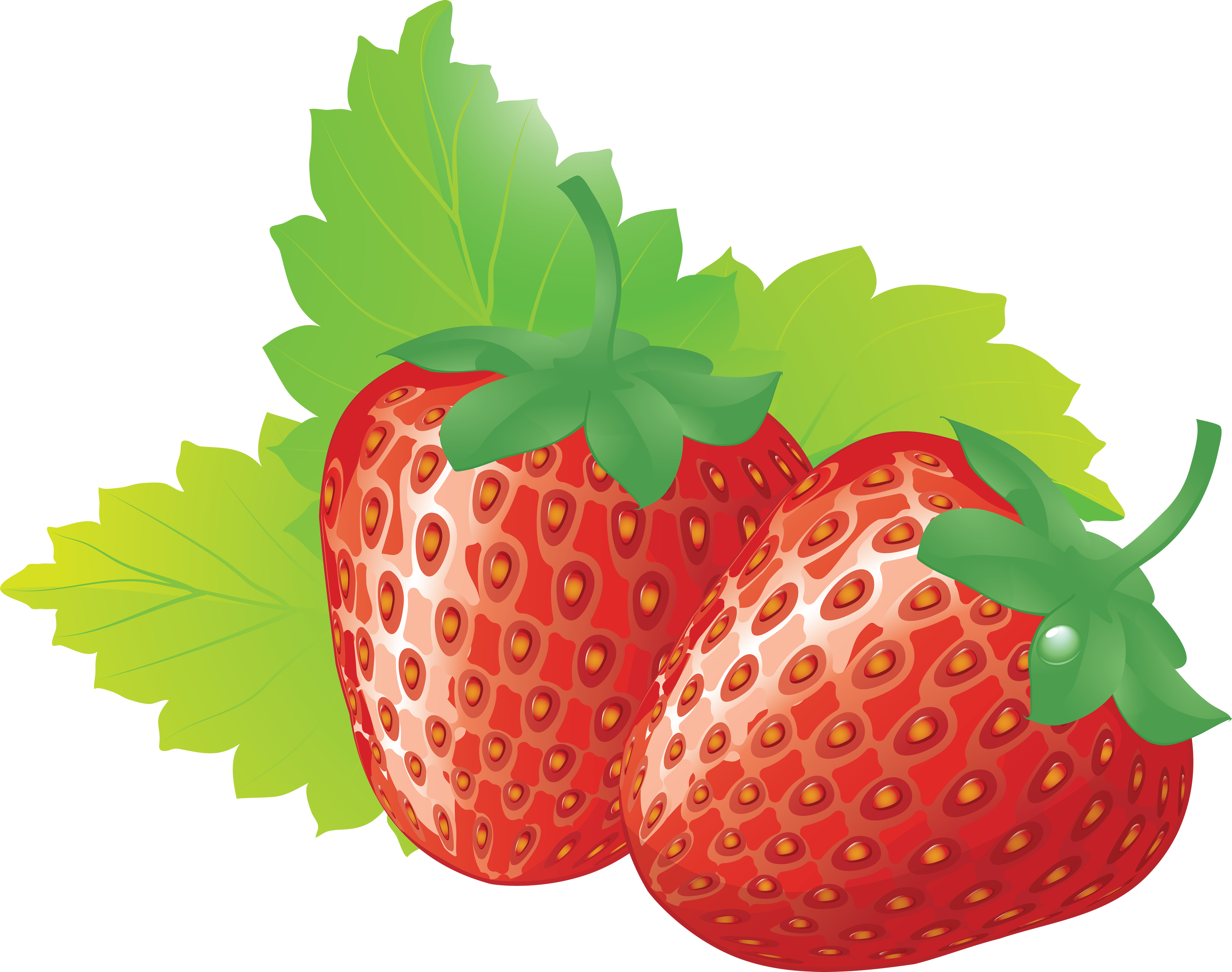 Detail Strawberries Clipart Nomer 16
