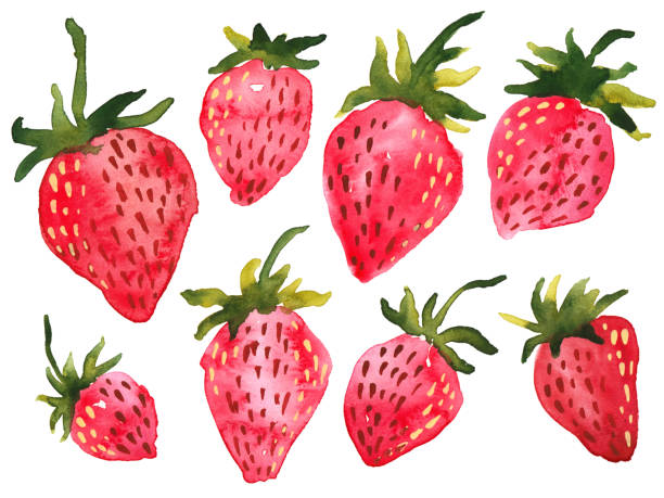 Detail Strawberries Clipart Nomer 36