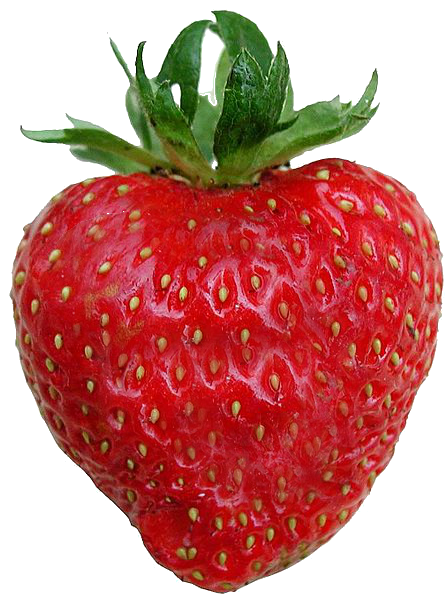 Detail Strawberries Transparent Nomer 15