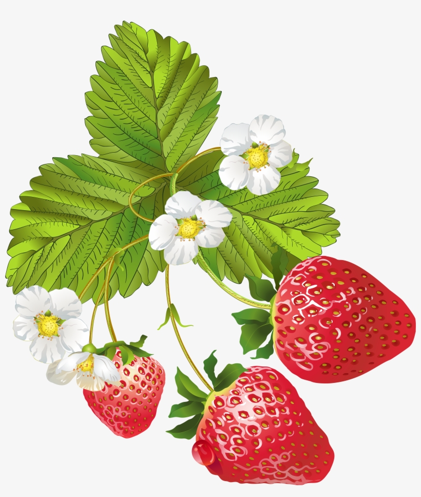 Detail Strawberries Transparent Background Nomer 40
