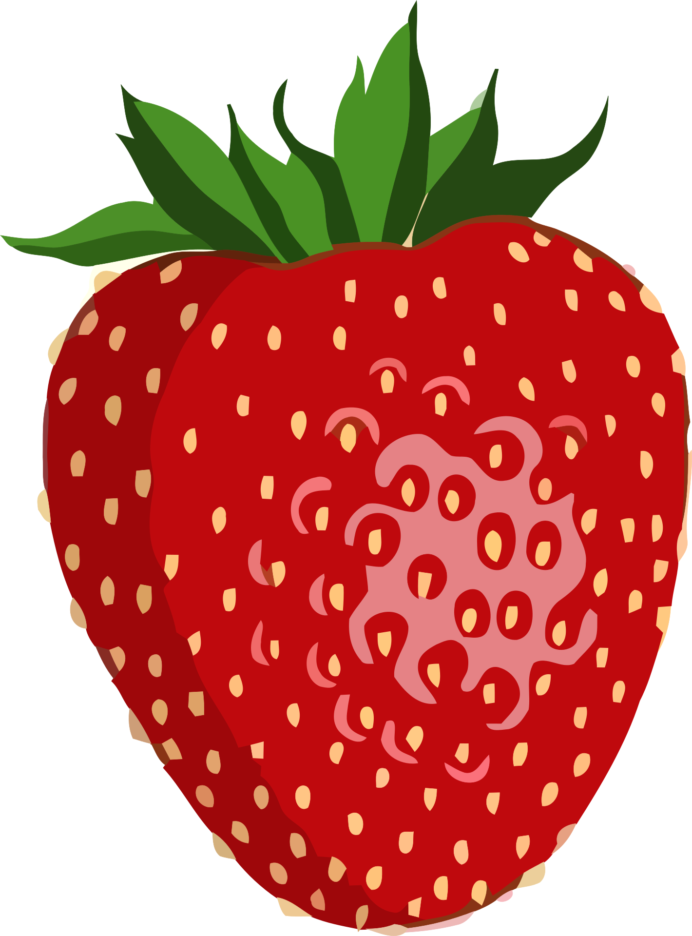 Detail Strawberry Clipart Free Nomer 11