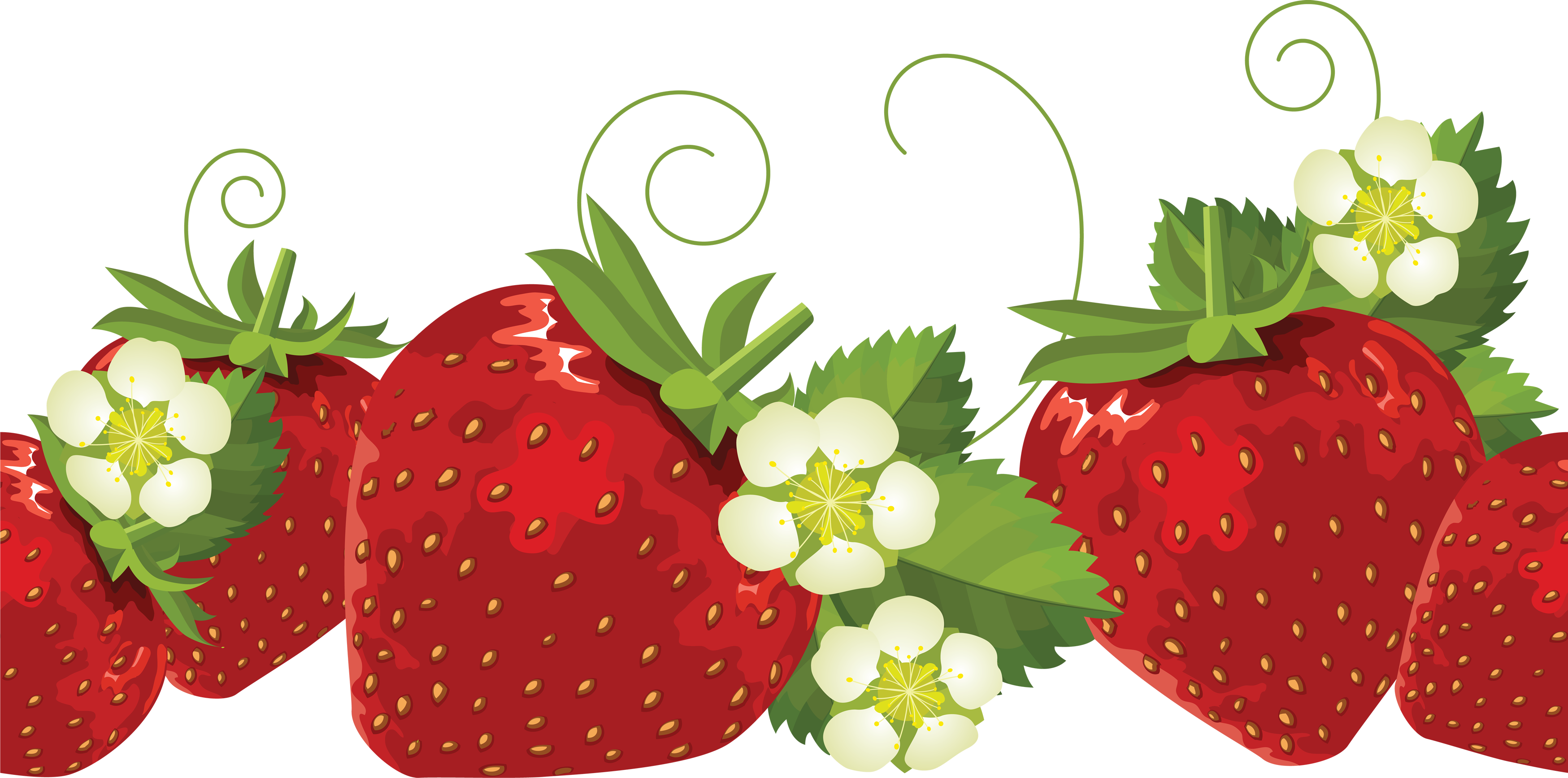 Detail Strawberry Clipart Free Nomer 12