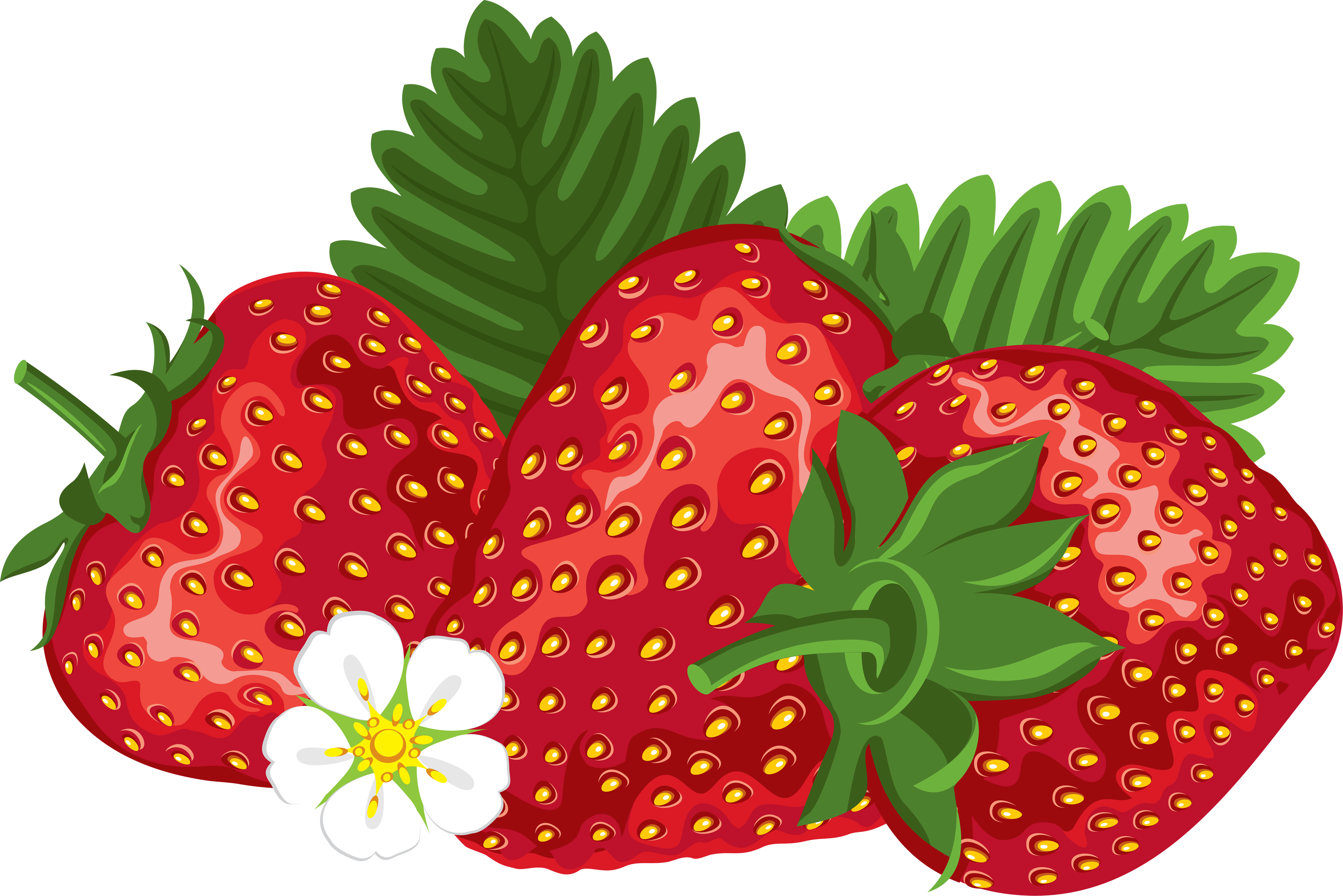 Detail Strawberry Clipart Free Nomer 3