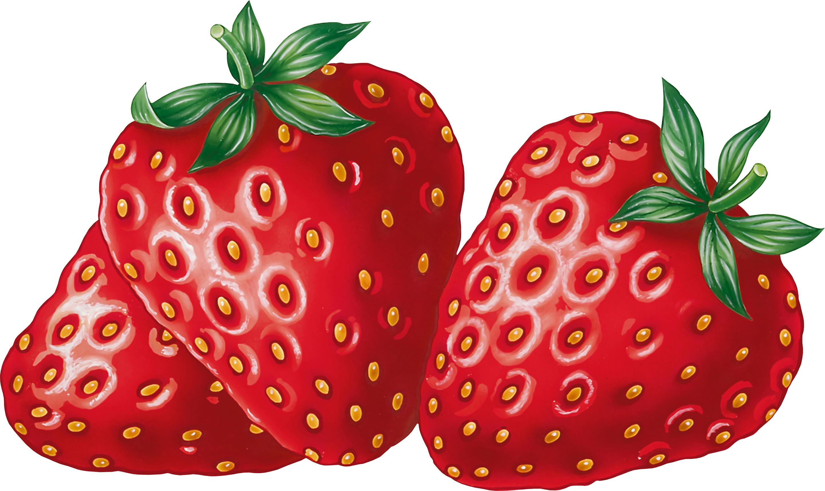 Detail Strawberry Clipart Free Nomer 6