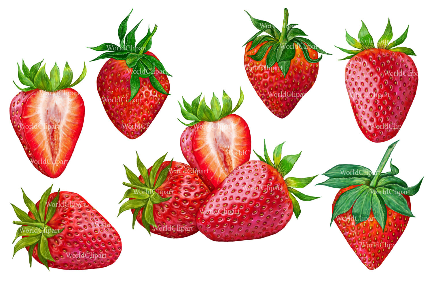 Detail Strawberry Clipart Images Nomer 31