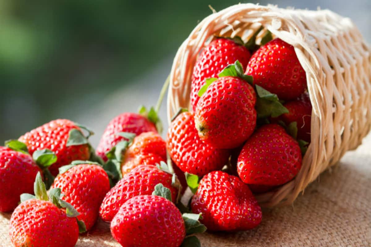 Detail Strawberry Image Nomer 26