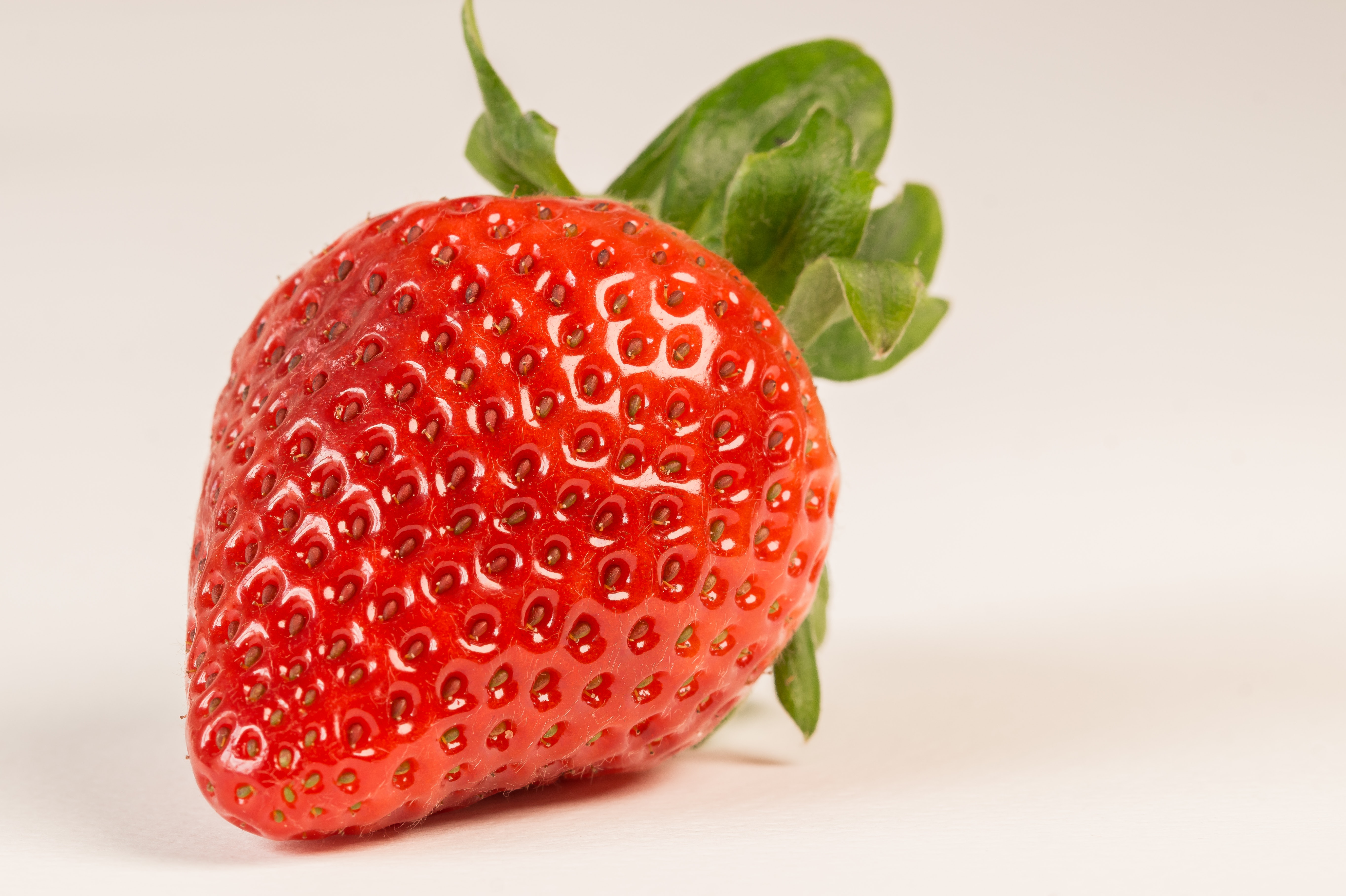 Detail Strawberry Images Free Nomer 16
