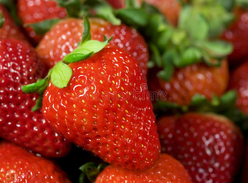 Detail Strawberry Images Free Nomer 19