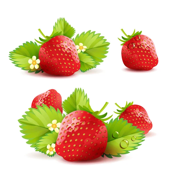 Detail Strawberry Images Free Nomer 34