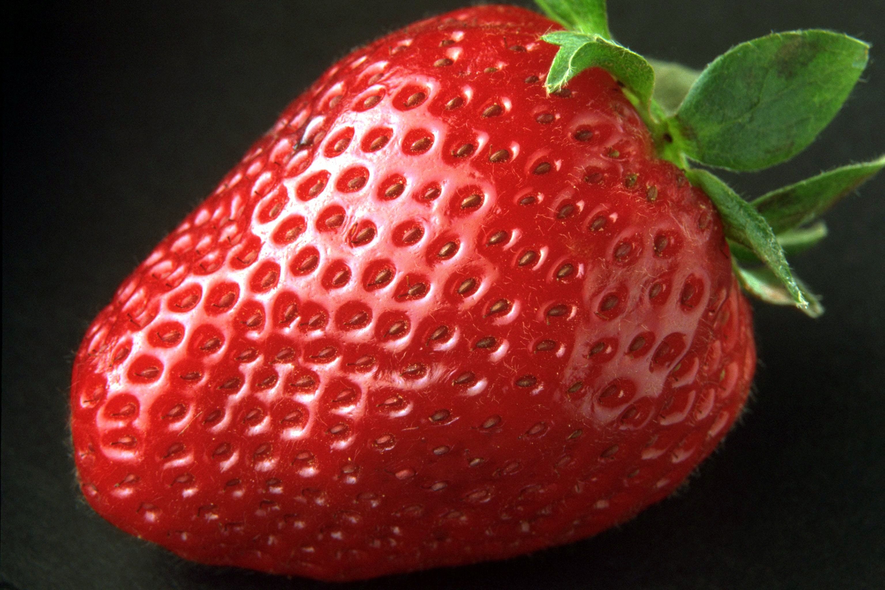 Download Strawberry Images Free Nomer 50