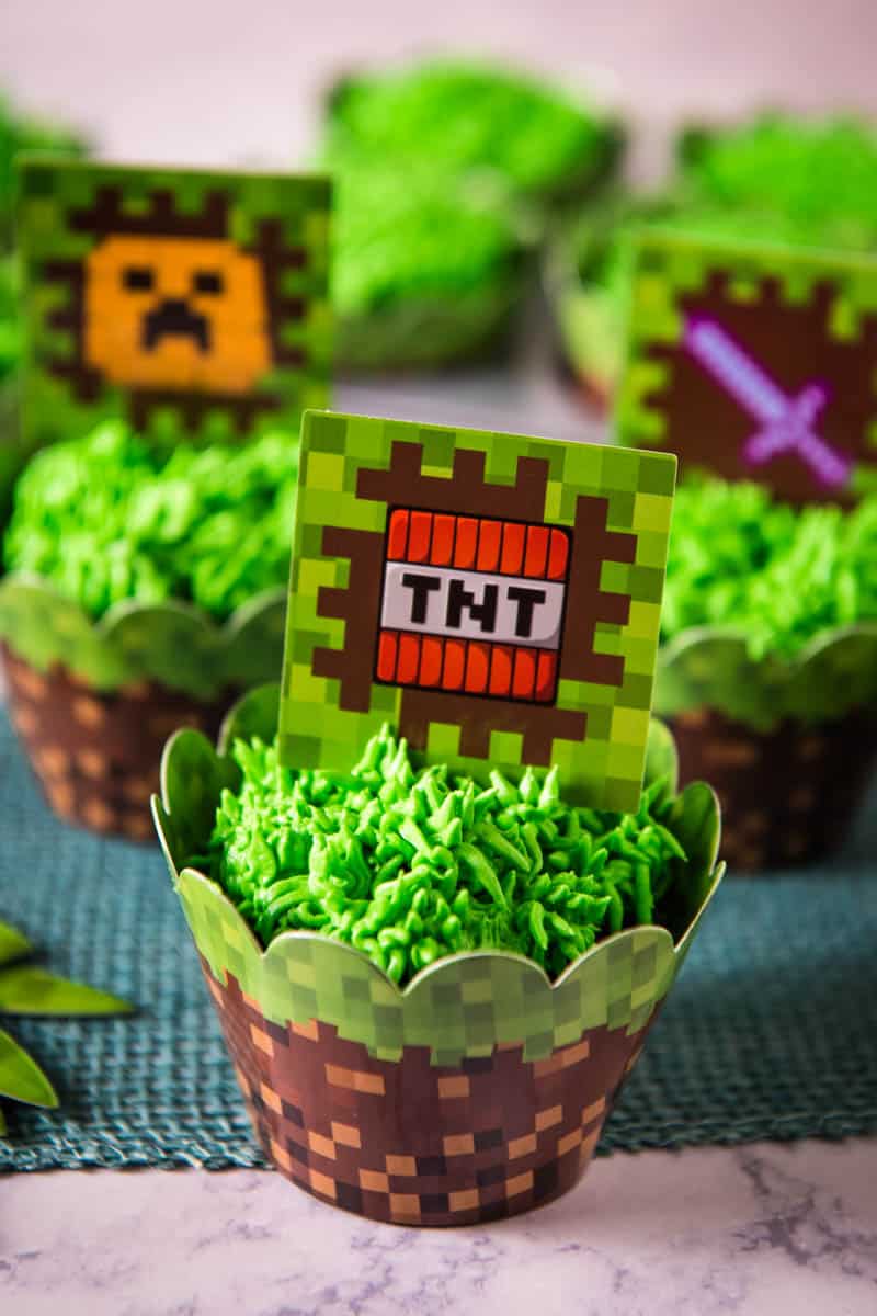 Detail Strawberry Jam Youtube Minecraft Nomer 37