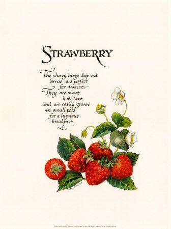 Strawberry Quotes - KibrisPDR