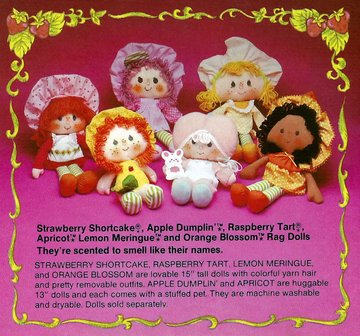 Detail Strawberry Shortcake And Friends Names Nomer 46