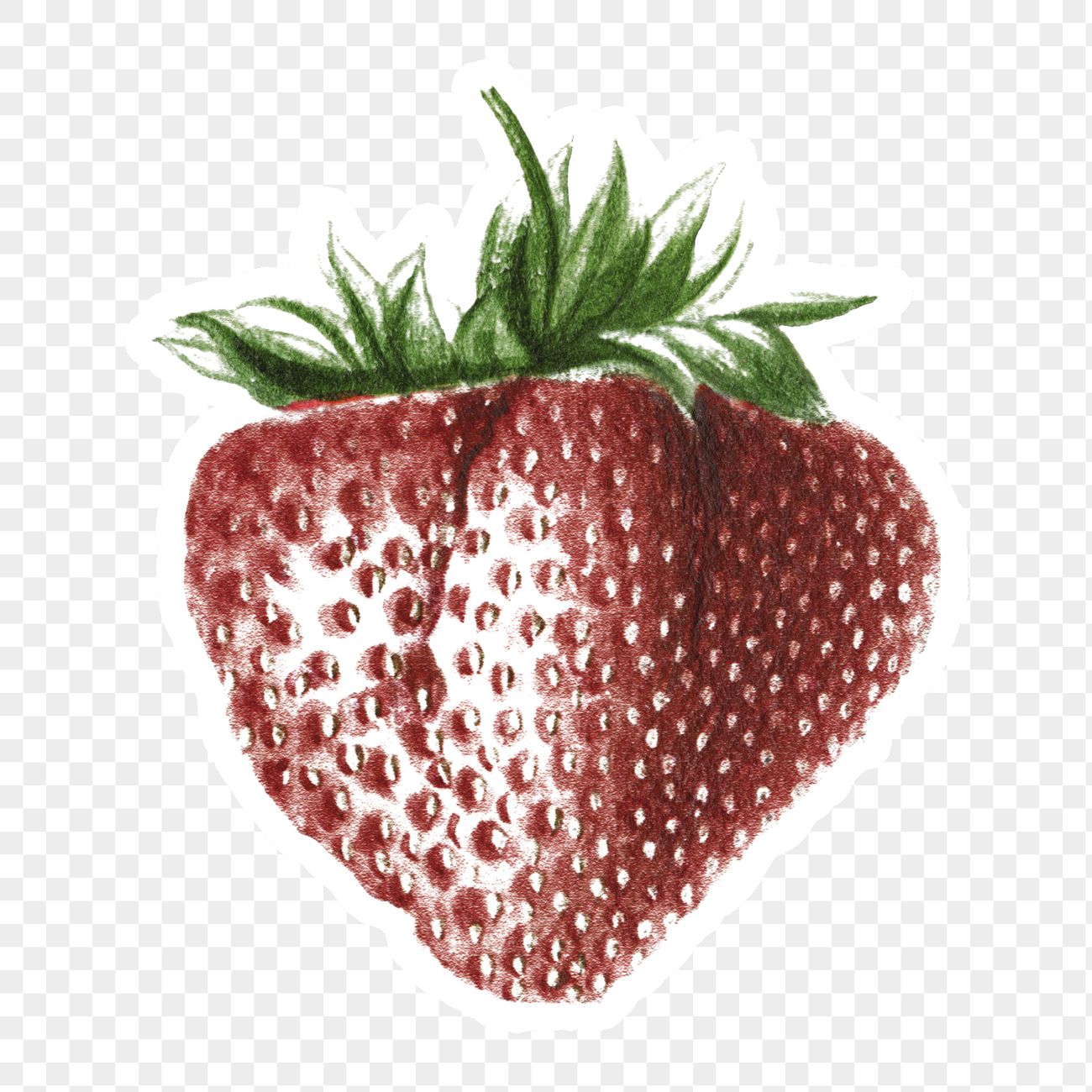 Detail Strawberry Sticker Png Nomer 30