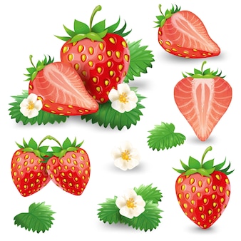Detail Strawberry Vector Png Nomer 35