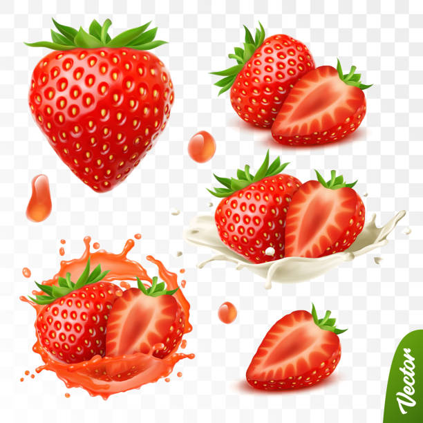 Detail Strawberry Vector Png Nomer 40