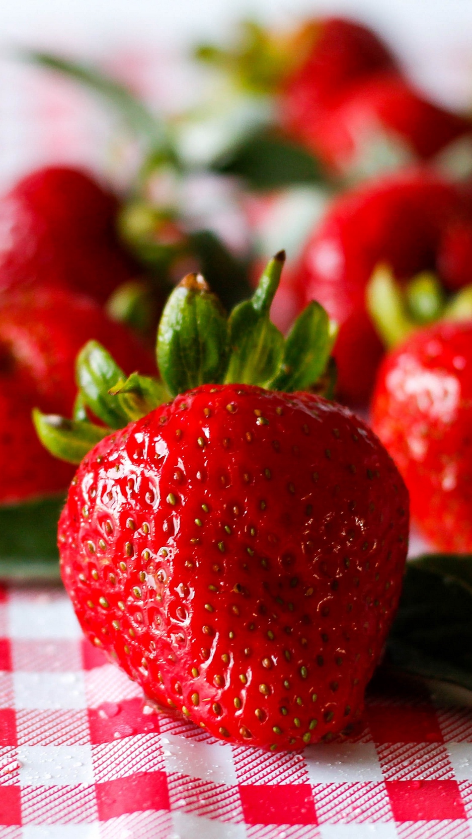 Detail Strawberry Wallpaper For Iphone Nomer 30