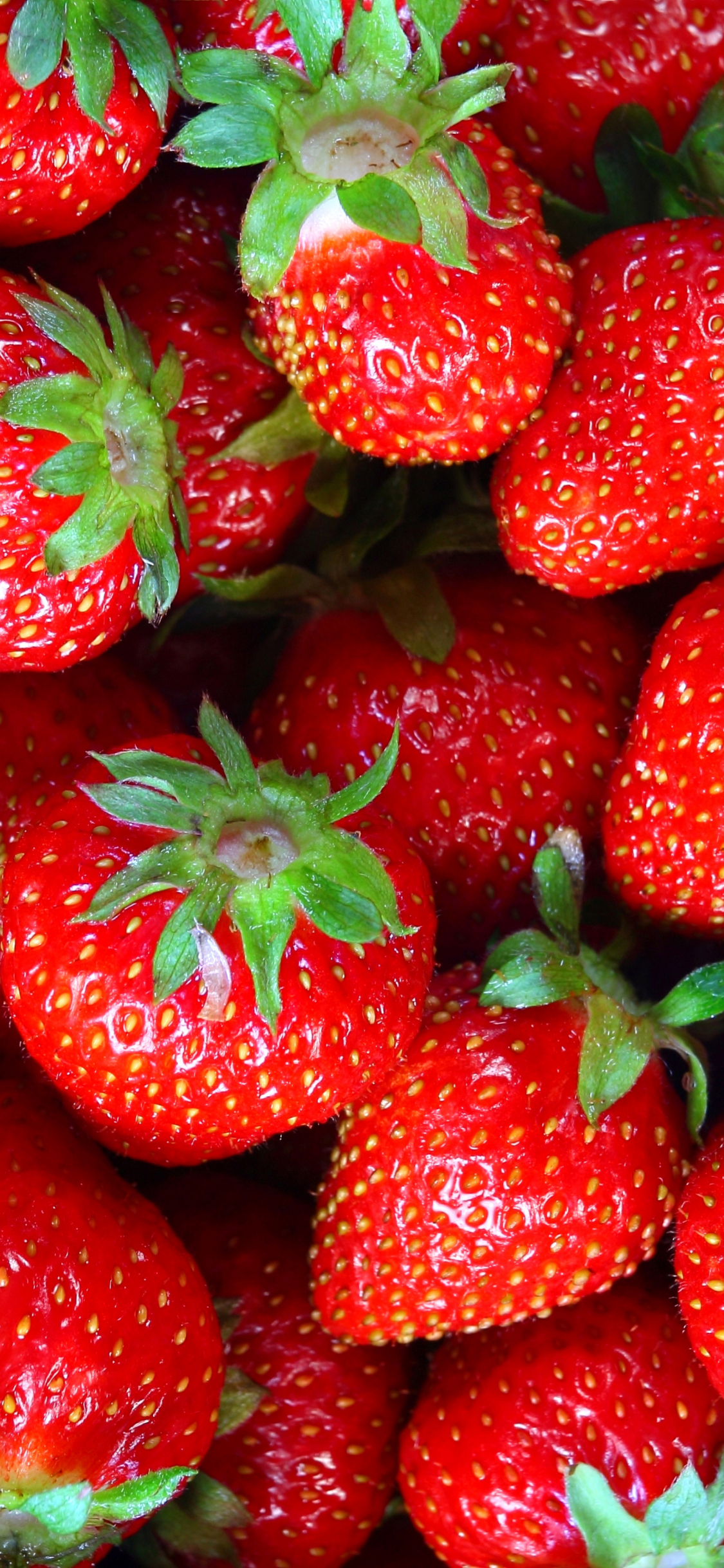 Detail Strawberry Wallpaper Hd Nomer 23