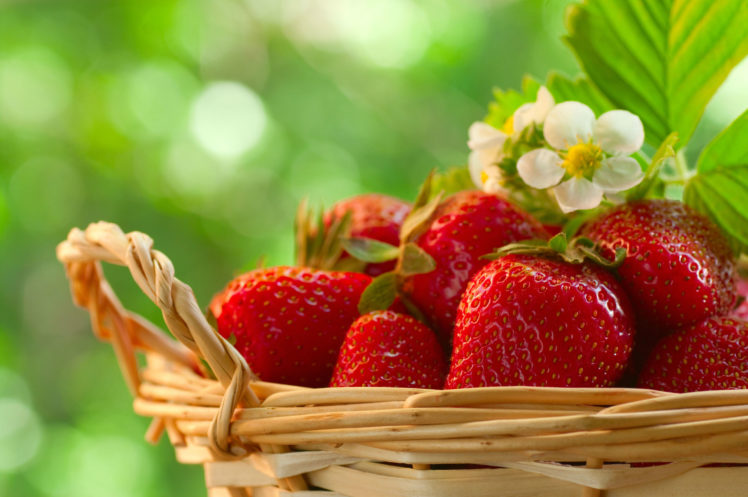 Detail Strawberry Wallpaper Hd Nomer 33