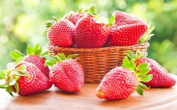 Detail Strawberry Wallpaper Hd Nomer 35