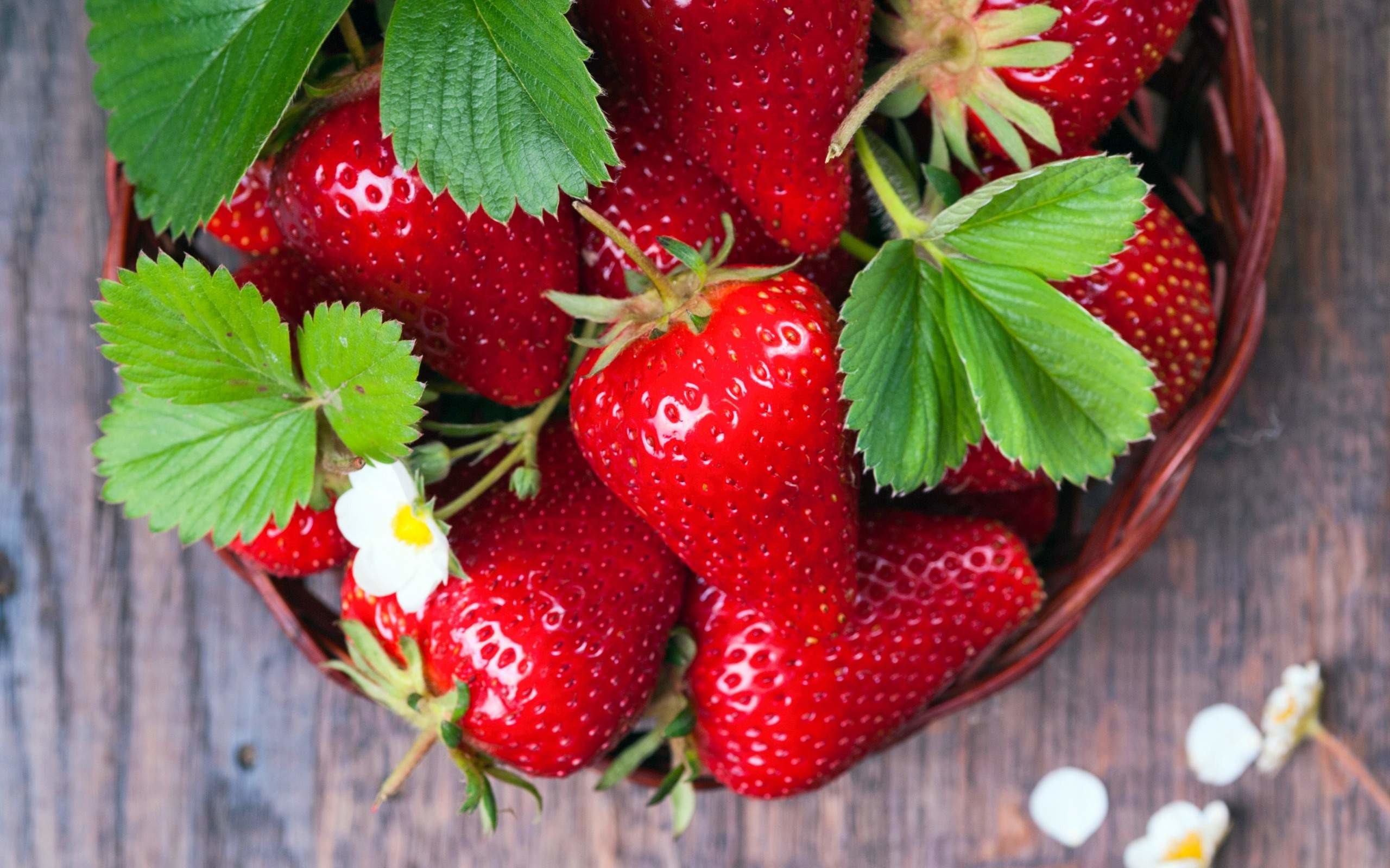 Detail Strawberry Wallpaper Hd Nomer 38