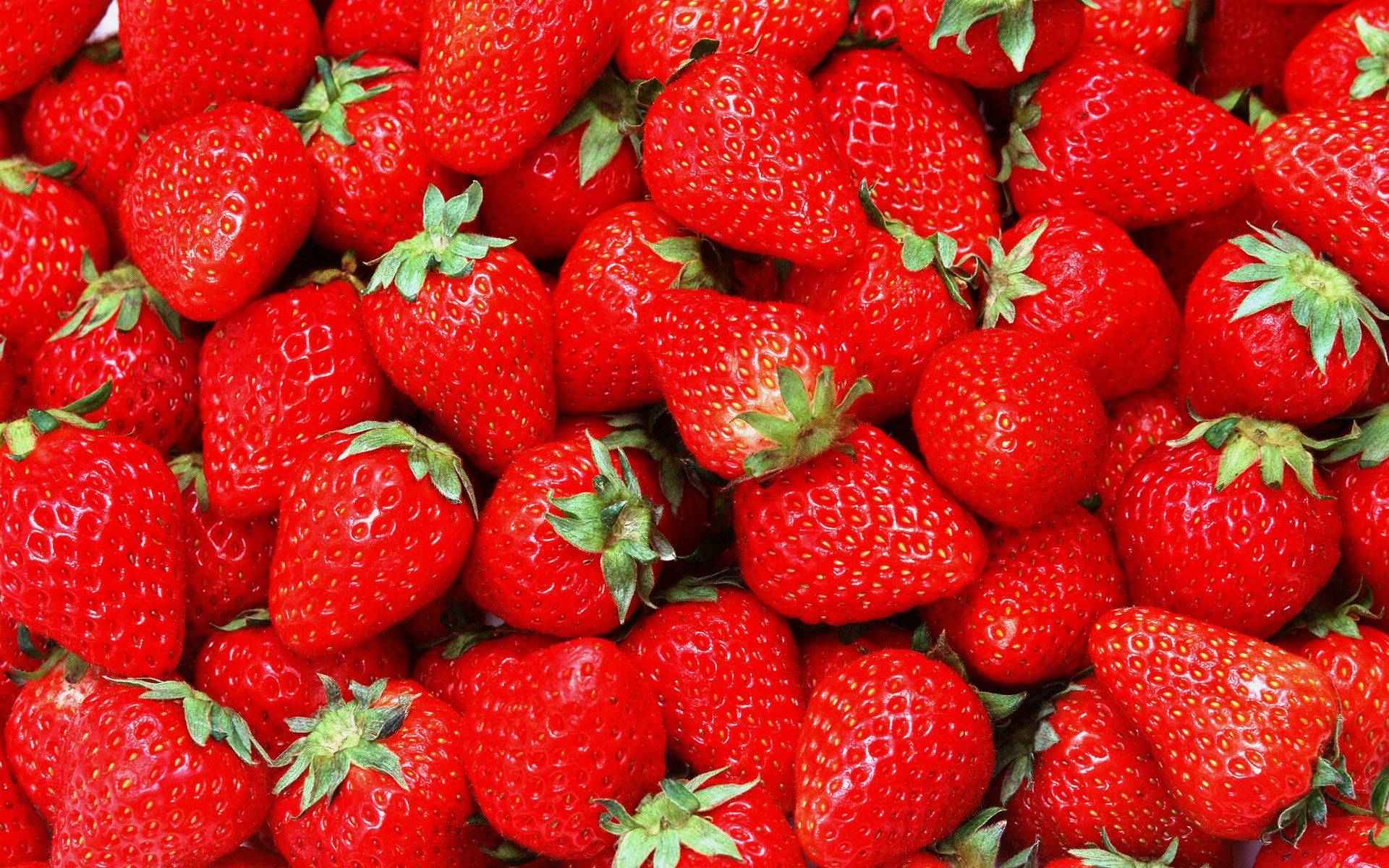 Detail Strawberry Wallpaper Hd Nomer 45