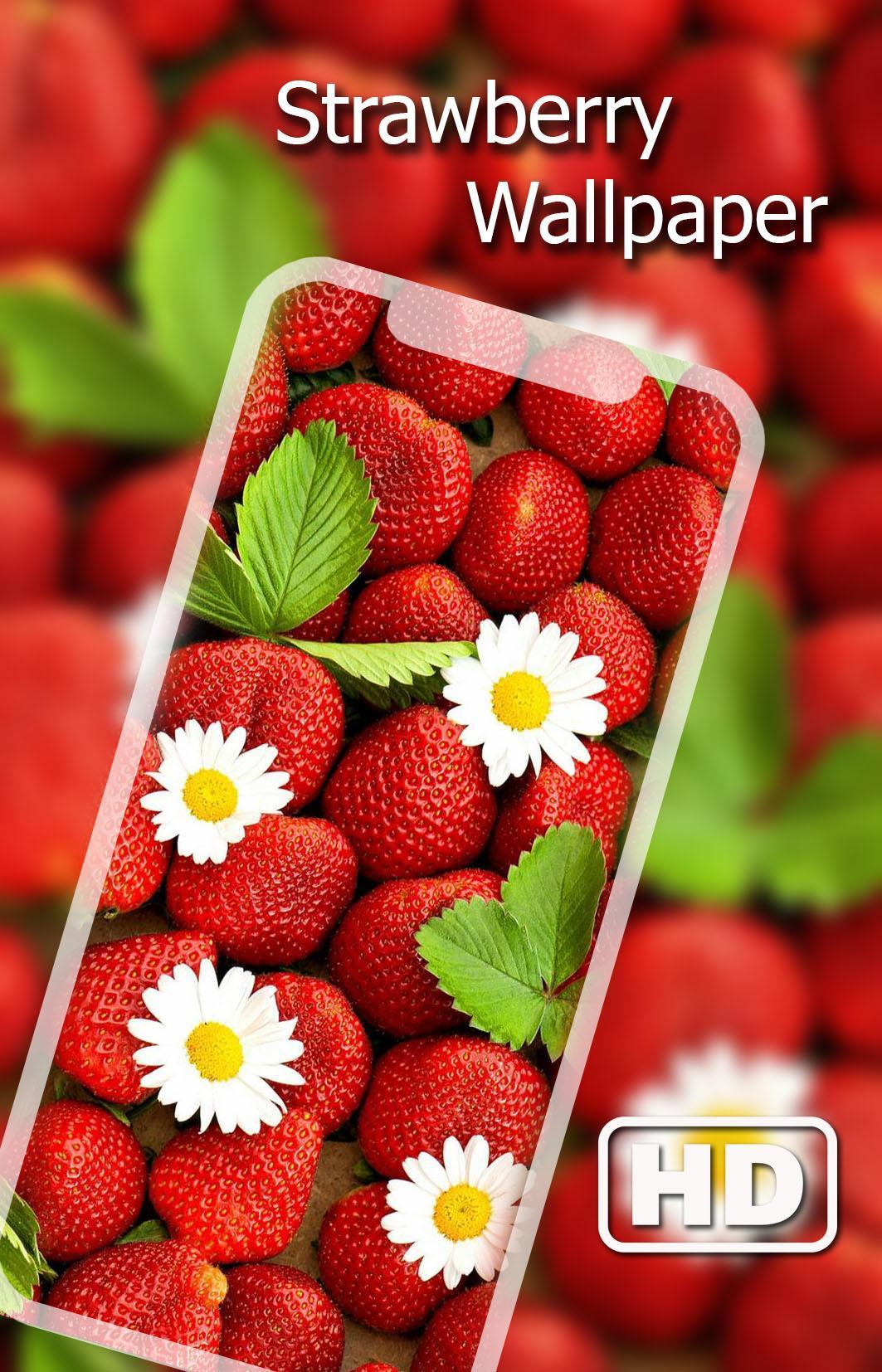 Detail Strawberry Wallpaper Hd Nomer 48