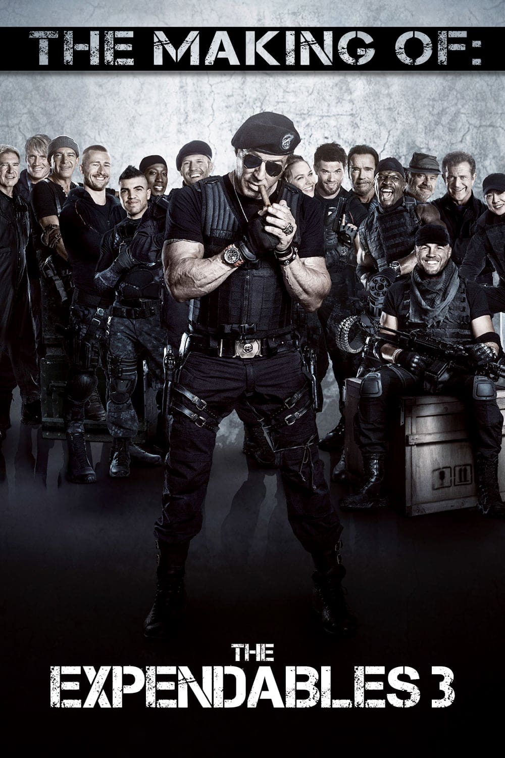 Detail Streaming Expendables 3 Nomer 7