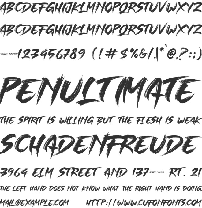 Detail Street Fighter 5 Font Nomer 5