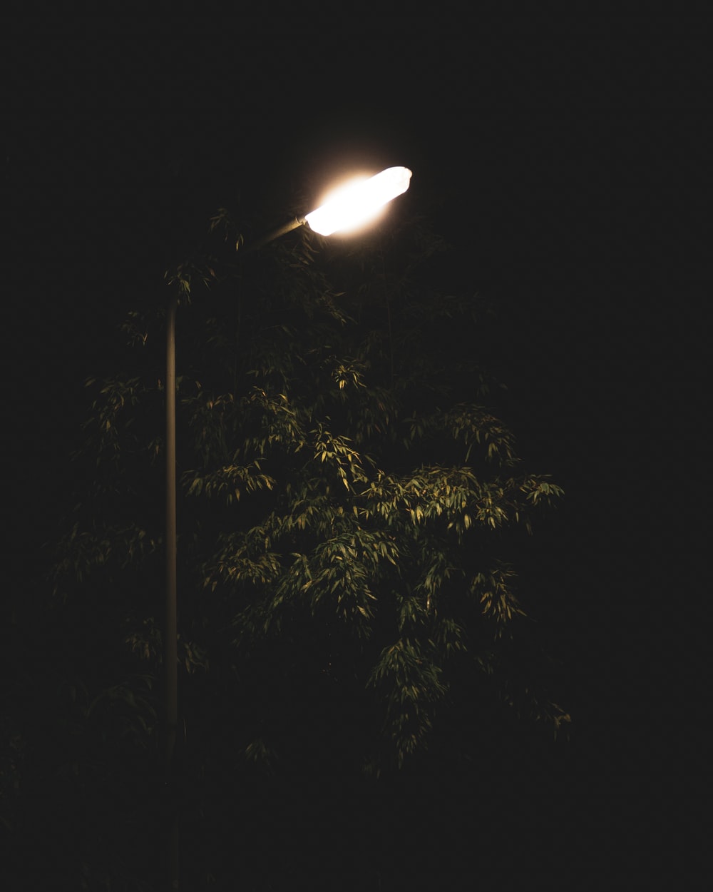 Download Street Light Image Nomer 32
