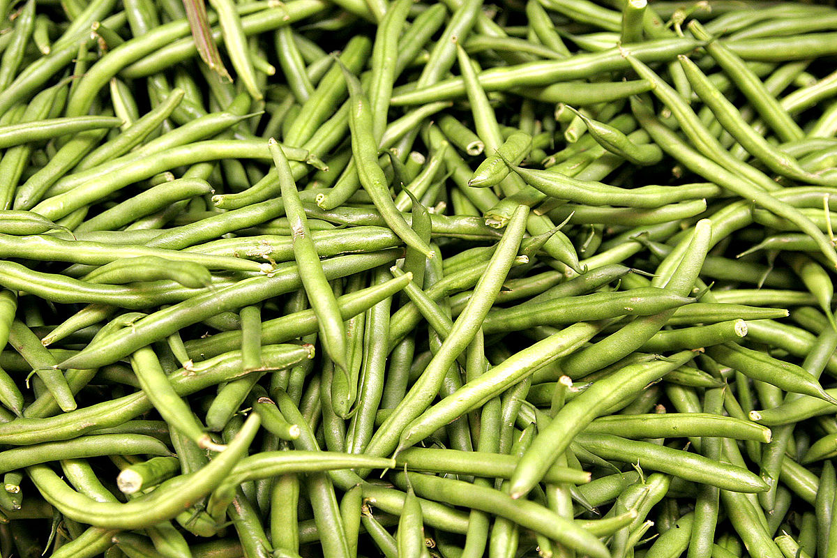 Detail String Bean Pictures Nomer 22